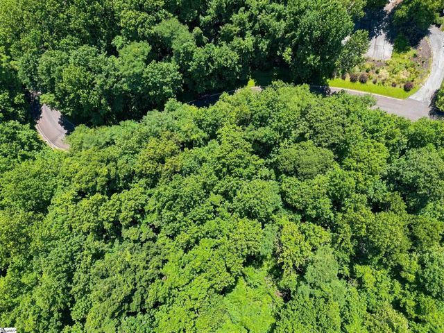 164 Catnip Trail, Landrum, SC 29356
