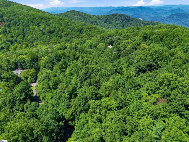 164 Catnip Trail, Landrum, SC 29356