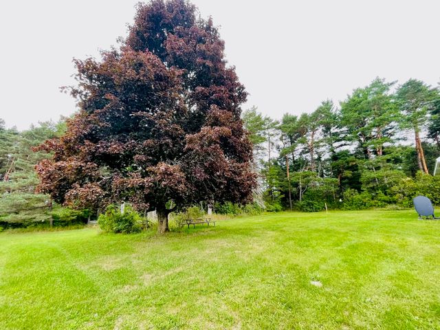 7848 S US-131, Mancelona Twp, MI 49659