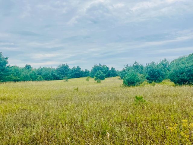 7848 S US-131, Mancelona Twp, MI 49659