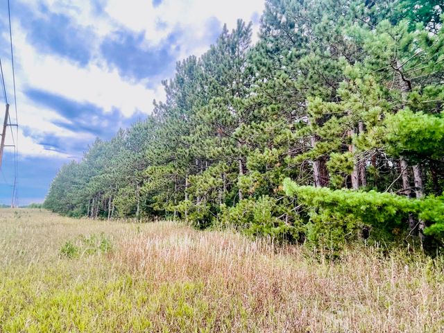 7848 S US-131, Mancelona Twp, MI 49659