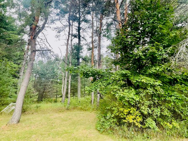 7848 S US-131, Mancelona Twp, MI 49659