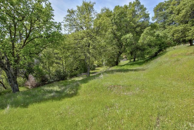 8698 Mountain Meadow Dr, Mountain Ranch, CA 95246