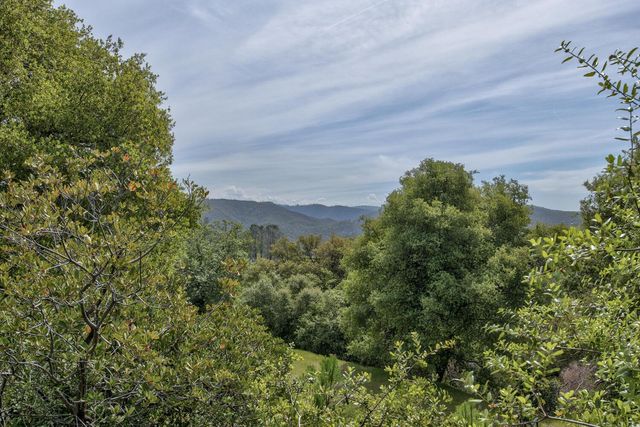 8698 Mountain Meadow Dr, Mountain Ranch, CA 95246