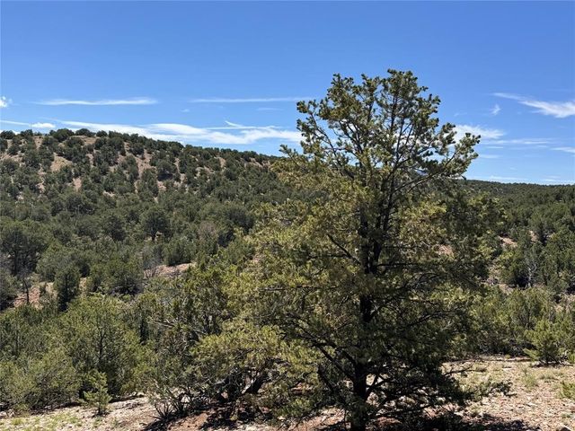 4011 Enclave Way, Santa Fe, NM 87506