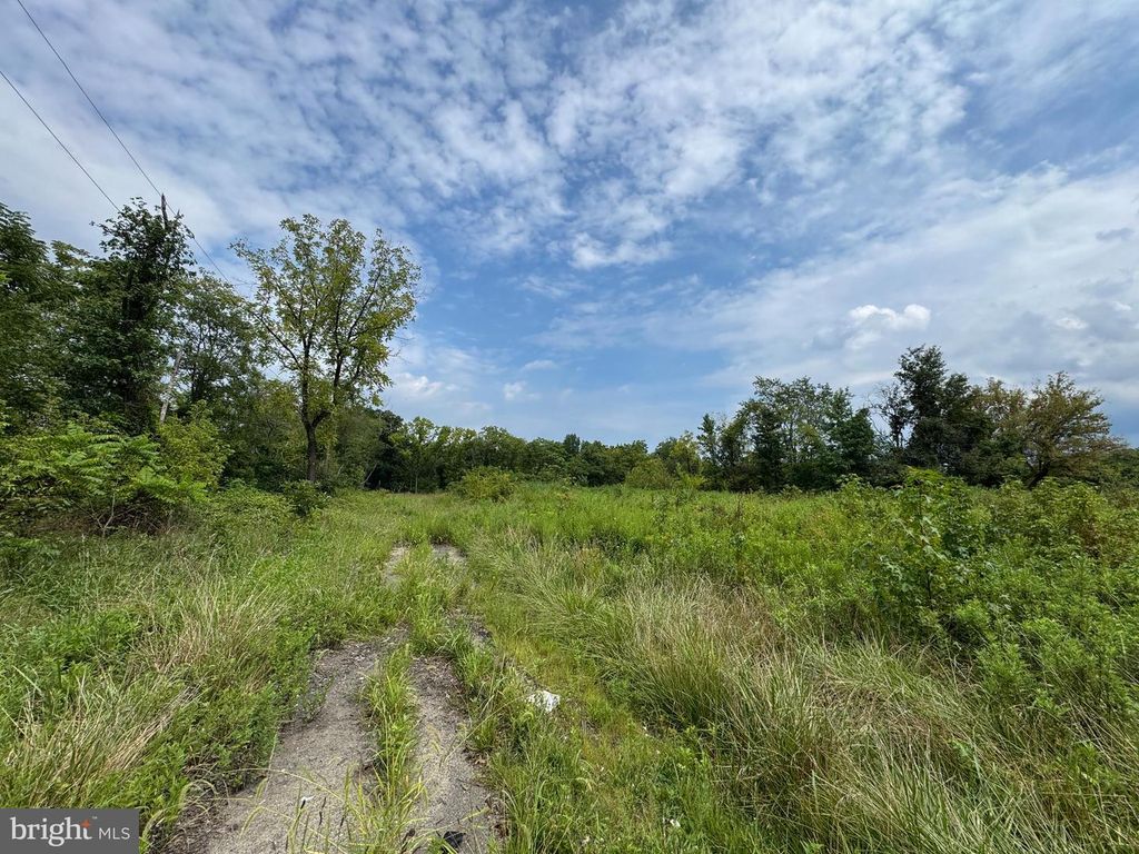 L22 MONROEVILLE SWEDESBORO RD (RT 694), SWEDESBORO, NJ 08085 — photo 2