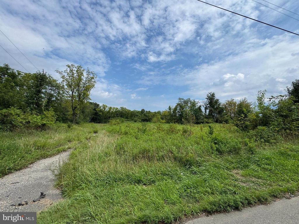 L22 MONROEVILLE SWEDESBORO RD (RT 694), SWEDESBORO, NJ 08085 — photo 3