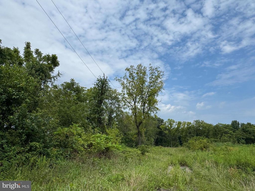 L22 MONROEVILLE SWEDESBORO RD (RT 694), SWEDESBORO, NJ 08085 — photo 4
