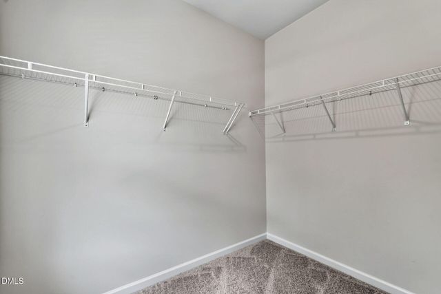 704 Orchard Vista Circle, Raleigh, NC 27606