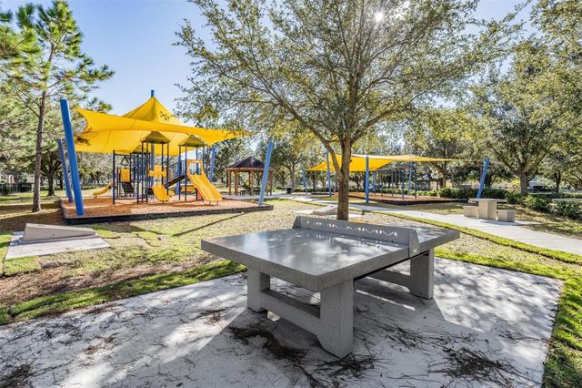 21101 WISTFUL YEARN DRIVE, Land O Lakes, FL 34637