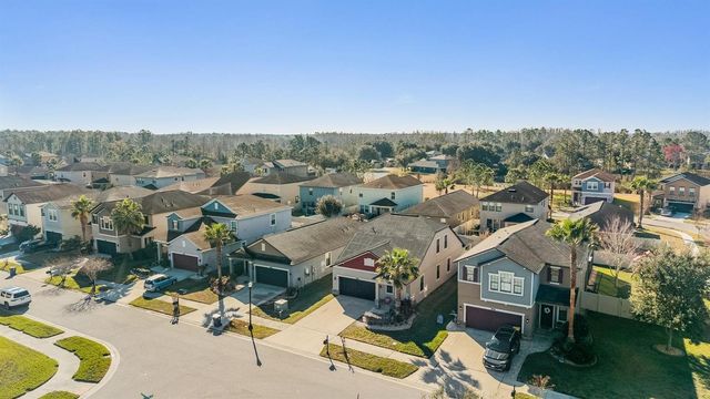 21101 WISTFUL YEARN DRIVE, Land O Lakes, FL 34637