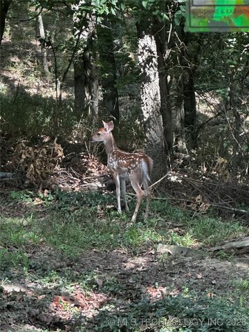 1408 Rockdale Road, Bartlesville, OK 74006