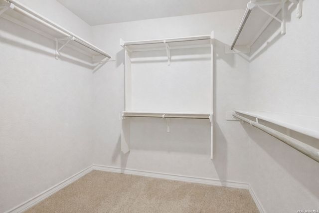 4834 Forward Swing, San Antonio, TX 78261