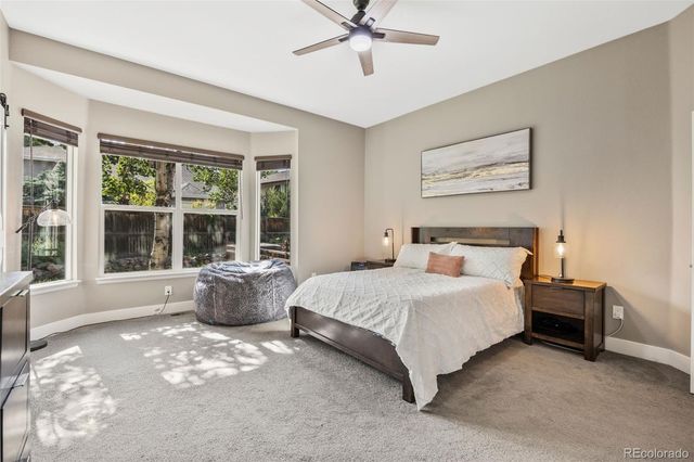 10553 Stonemeadow Drive, Parker, CO 80134