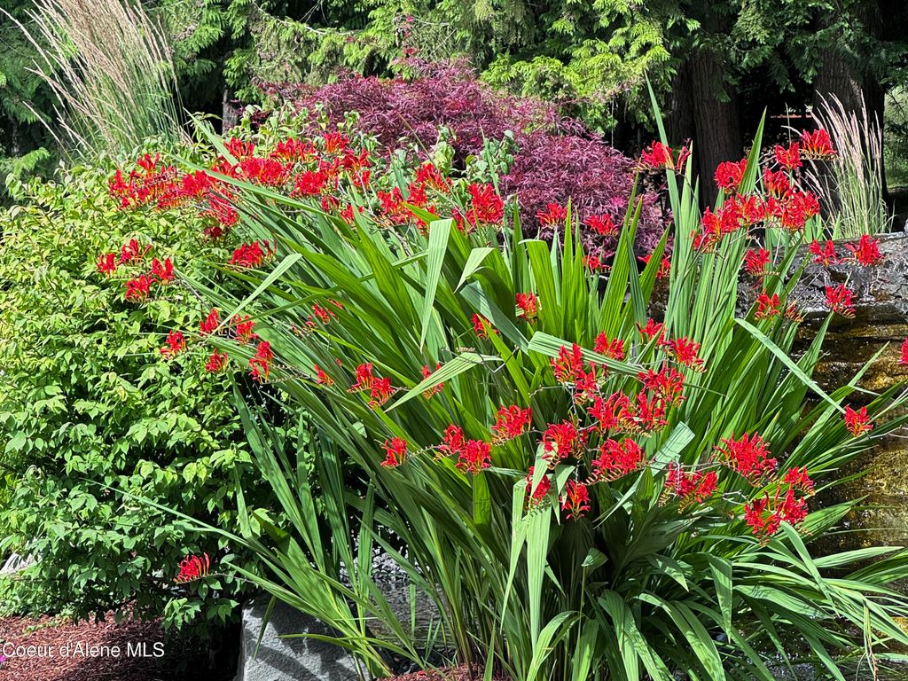 15818 N MORGAN LN, Hayden, ID 83835 photo 53