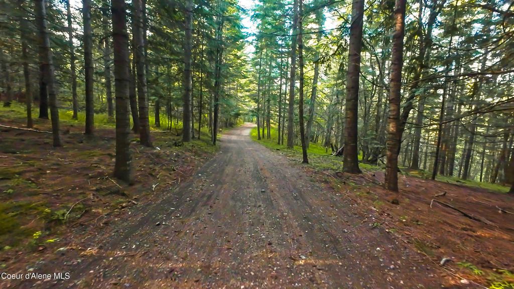 15818 N MORGAN LN, Hayden, ID 83835 photo 54