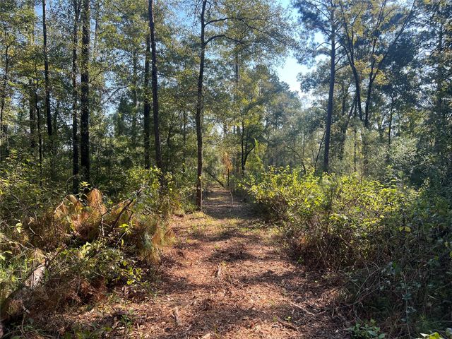 TBD 1 Hardy Bottom Road, Huntsville, TX 77340