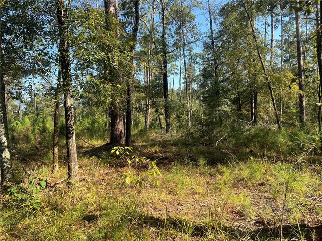 TBD 1 Hardy Bottom Road, Huntsville, TX 77340