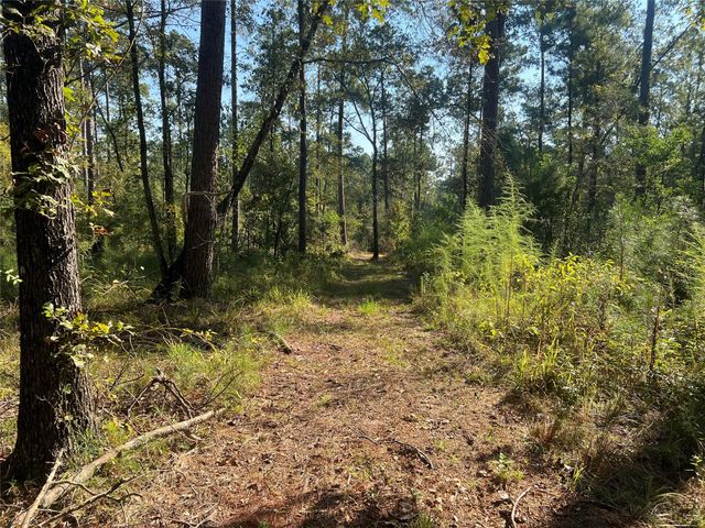 TBD 1 Hardy Bottom Road, Huntsville, TX 77340