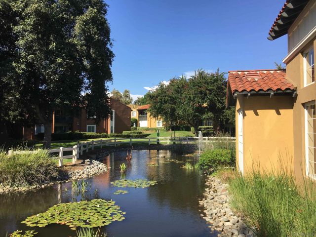 17129 W Bernardo Drive 201, San Diego, CA 92127