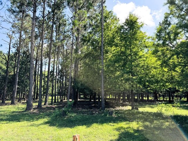 2052 County Road 540, Alvin, TX 77511