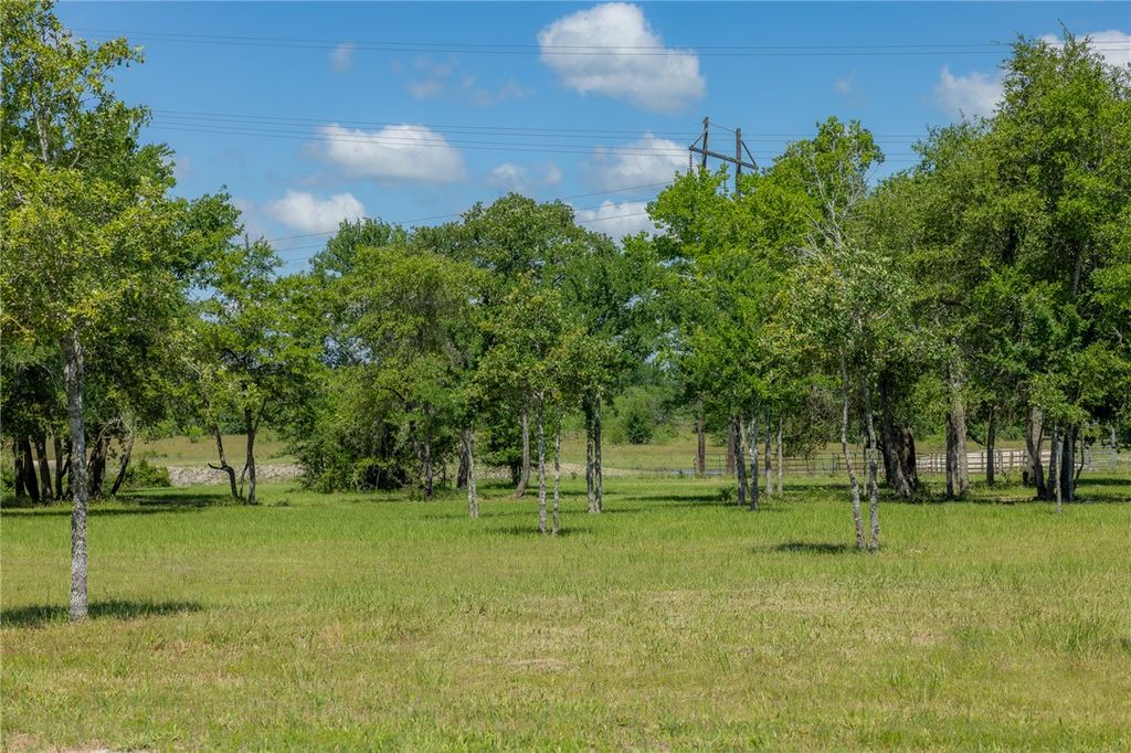 6731 Atakapan Trail, Bedias, TX 77831 — photo 2