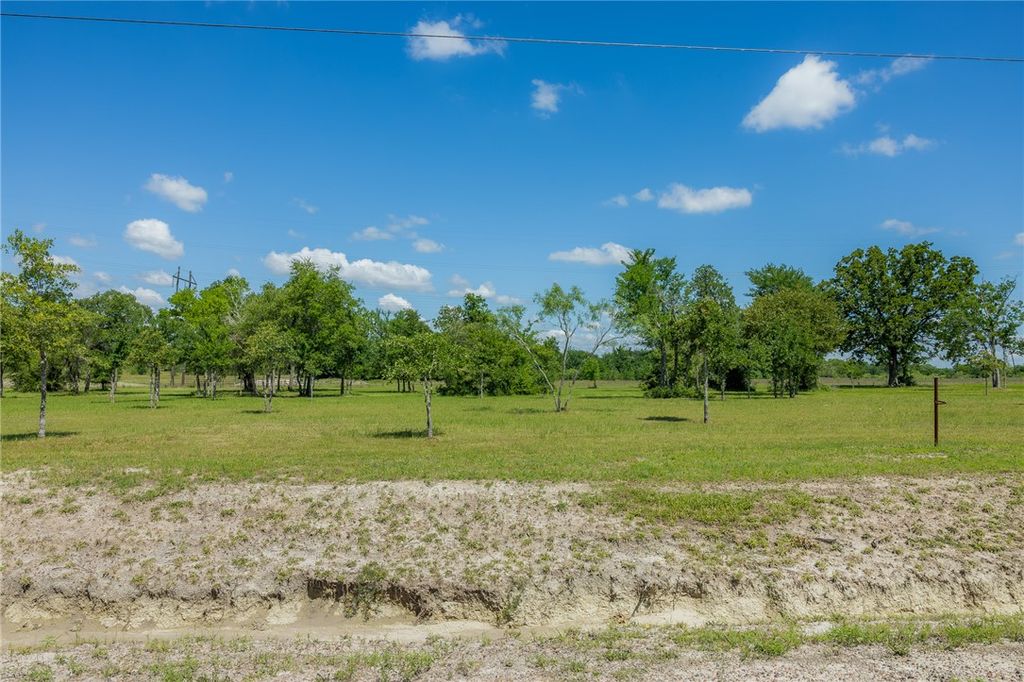 6731 Atakapan Trail, Bedias, TX 77831 — photo 3