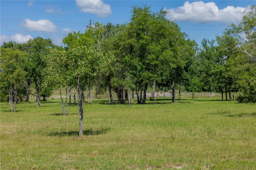 6731 Atakapan Trail, Bedias, TX 77831 — photo 4