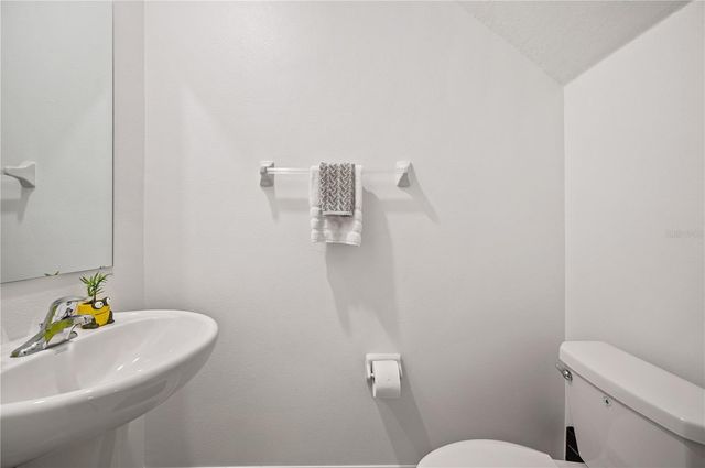 17399 NECTAR FLUME DRIVE, Land O Lakes, FL 34638