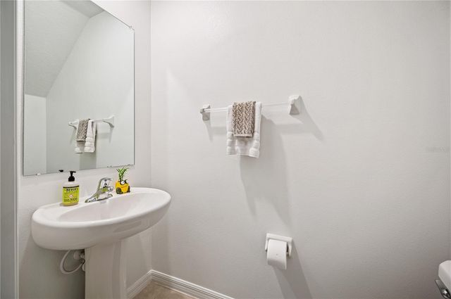 17399 NECTAR FLUME DRIVE, Land O Lakes, FL 34638