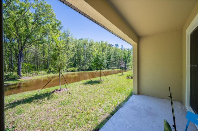 17399 NECTAR FLUME DRIVE, Land O Lakes, FL 34638
