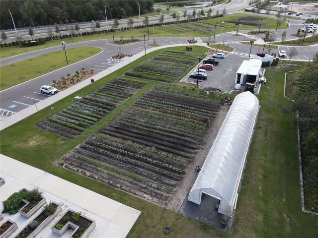 17399 NECTAR FLUME DRIVE, Land O Lakes, FL 34638