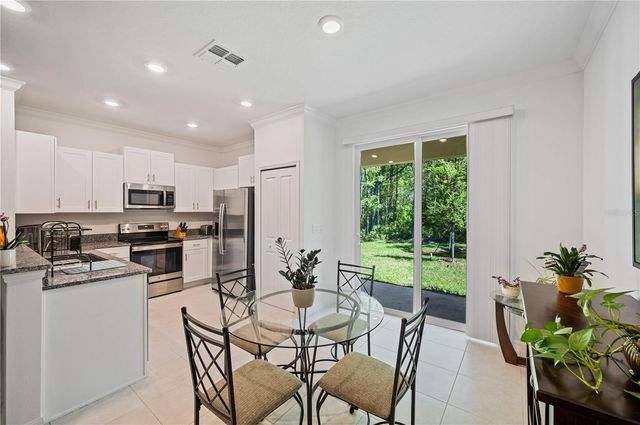 17399 NECTAR FLUME DRIVE, Land O Lakes, FL 34638