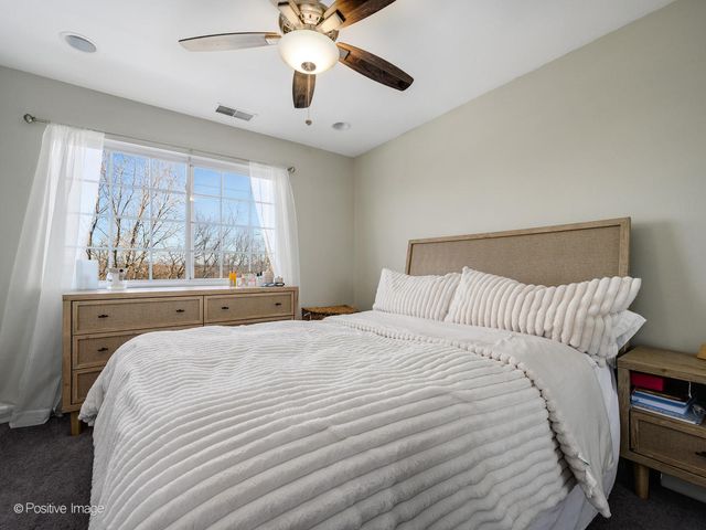 219 Willow Boulevard 1202B, Willow Springs, IL 60480