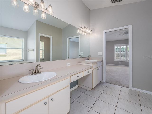 10333 ABBOTSFORD DRIVE, Tampa, FL 33626