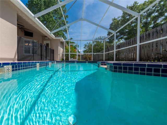 10333 ABBOTSFORD DRIVE, Tampa, FL 33626