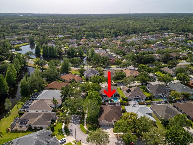 10333 ABBOTSFORD DRIVE, Tampa, FL 33626