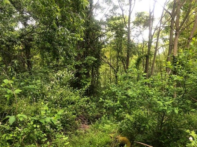 129 Ridgecrest Dr, South Buffalo Twp, PA 16229