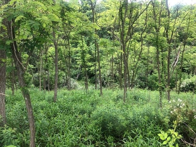 129 Ridgecrest Dr, South Buffalo Twp, PA 16229