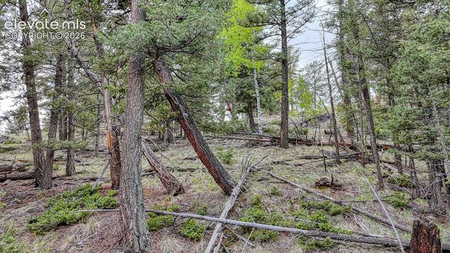 918 Pinon Lane, Florissant, CO 80816