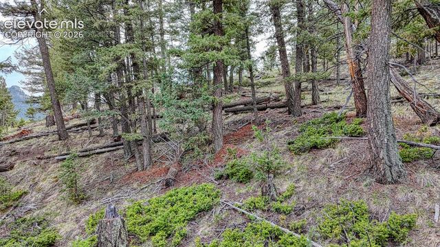 918 Pinon Lane, Florissant, CO 80816