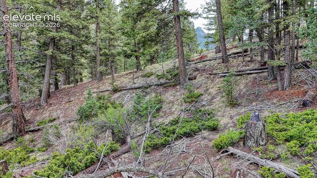 918 Pinon Lane, Florissant, CO 80816
