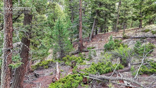 918 Pinon Lane, Florissant, CO 80816