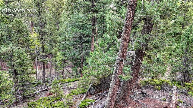 918 Pinon Lane, Florissant, CO 80816