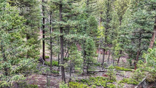 918 Pinon Lane, Florissant, CO 80816