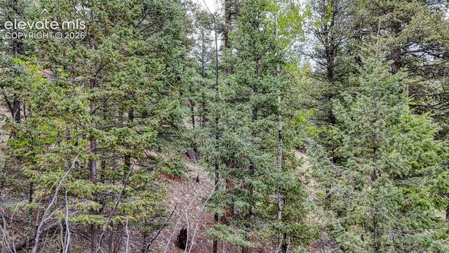 918 Pinon Lane, Florissant, CO 80816