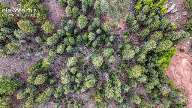 918 Pinon Lane, Florissant, CO 80816