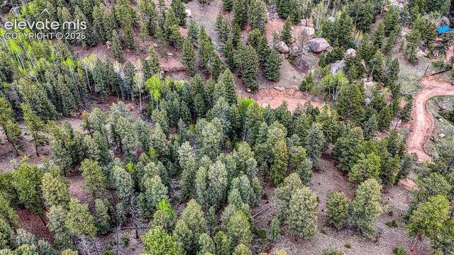 918 Pinon Lane, Florissant, CO 80816