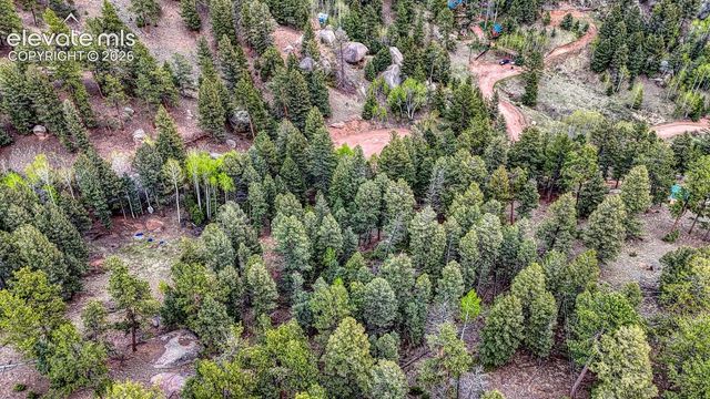 918 Pinon Lane, Florissant, CO 80816