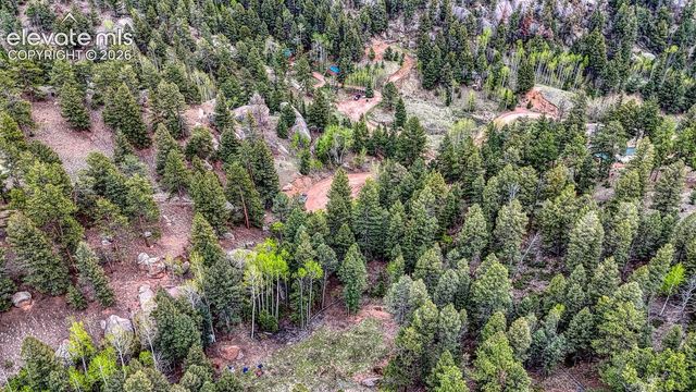 918 Pinon Lane, Florissant, CO 80816